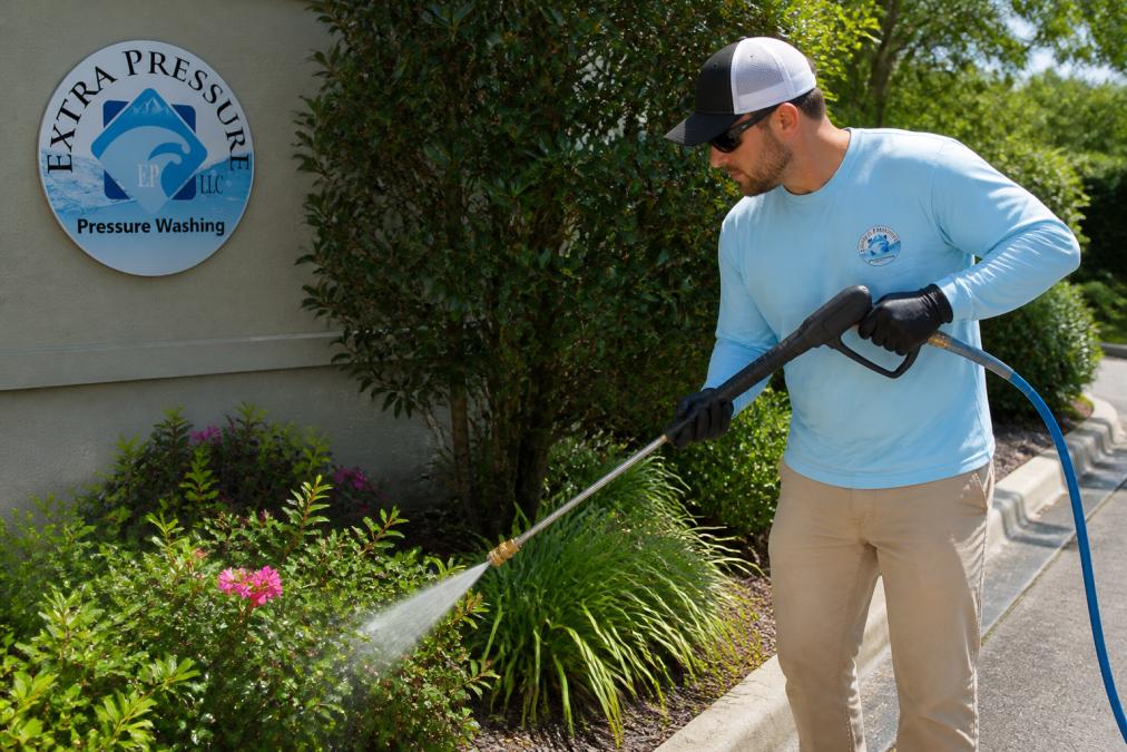 Best Way to Clean Delicate Landscaping Safely