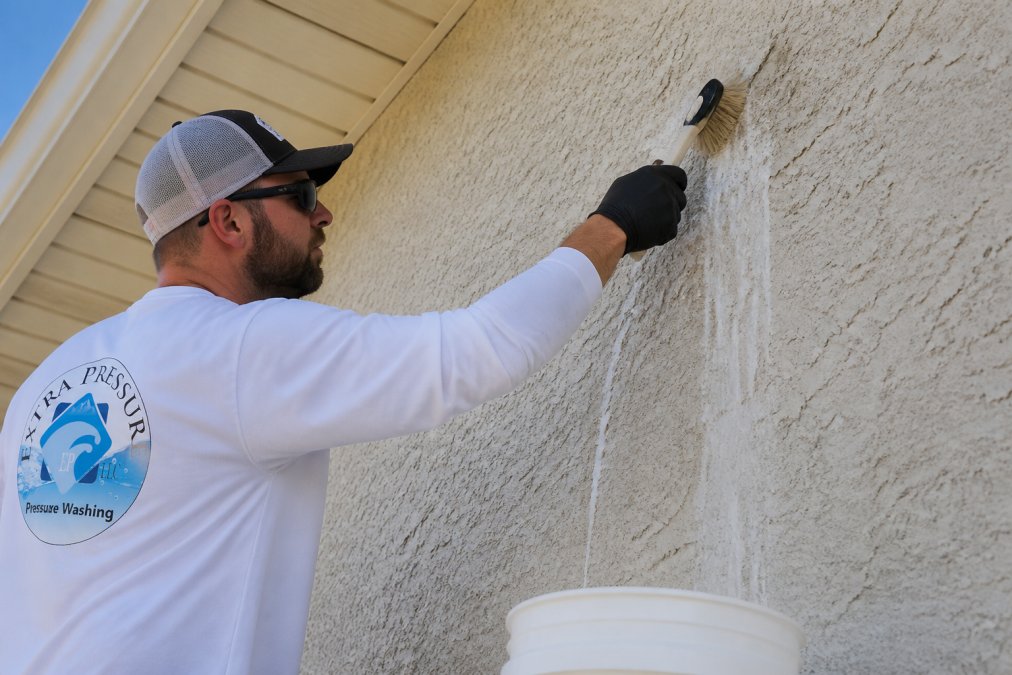 How to Safely Clean Bird Droppings from Stucco Walls