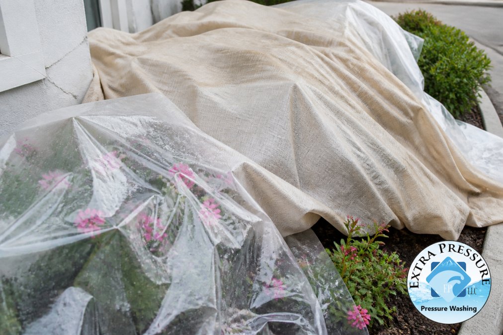 Close-up of plastic sheeting and breathable fabric draped over flowering shrubs and garden beds, showing proper coverage technique with visible delicate flowers underneath protection