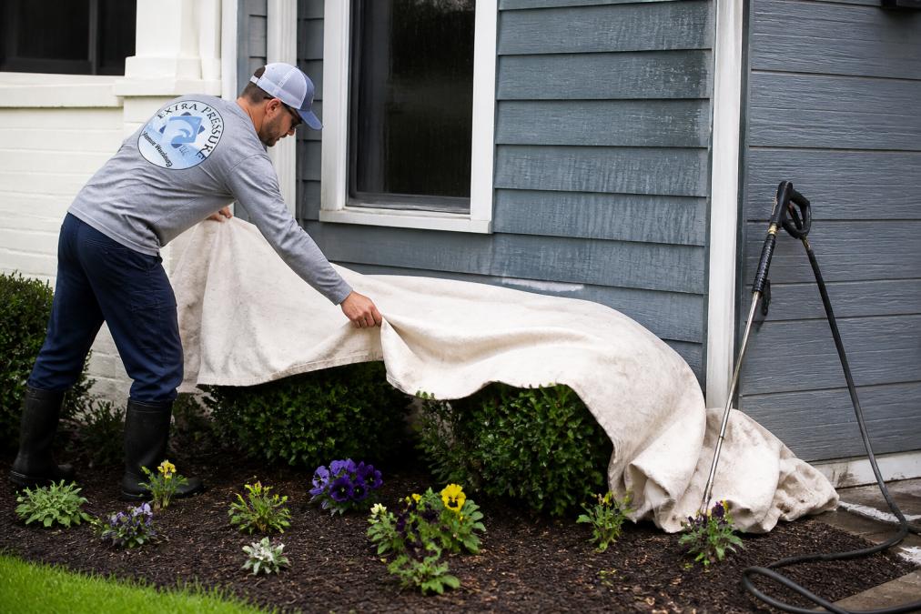 A homeowner in work clothes carefully draping a light tarp over shrubs and flower beds beside a house, with a pressure washer wand resting nearby and wet siding in the background
